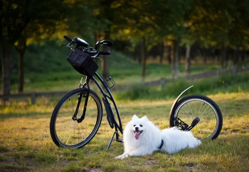 and the Fight for Free Speech